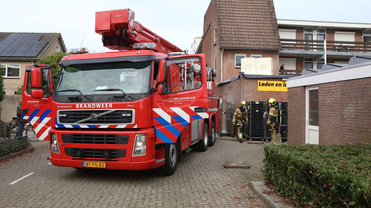 Foto: Sander van Gils/SQ Vision