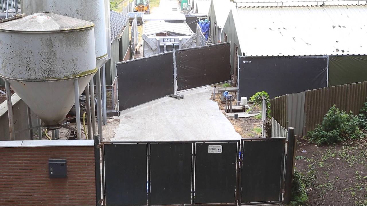 De nertsenfokkerij in Deurne.