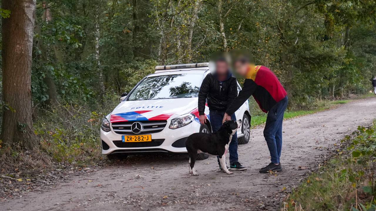 Busje met meerdere mensen botst tegen een boom (foto: Harrie Gijseel/SQ Vision).