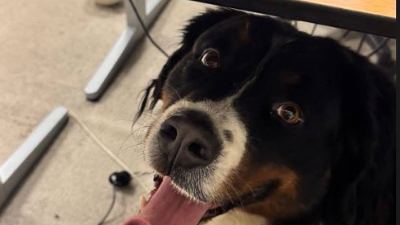 Foto: Instagram wijkagent Aarle-Rixtel