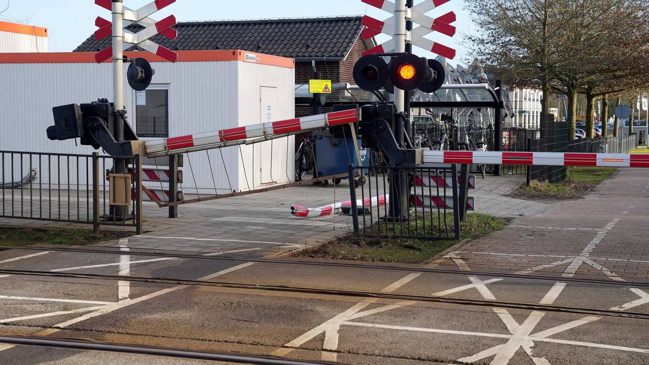 De afgebroken boom kwam een eind verderop terecht (foto: WdG/SQ Vision).