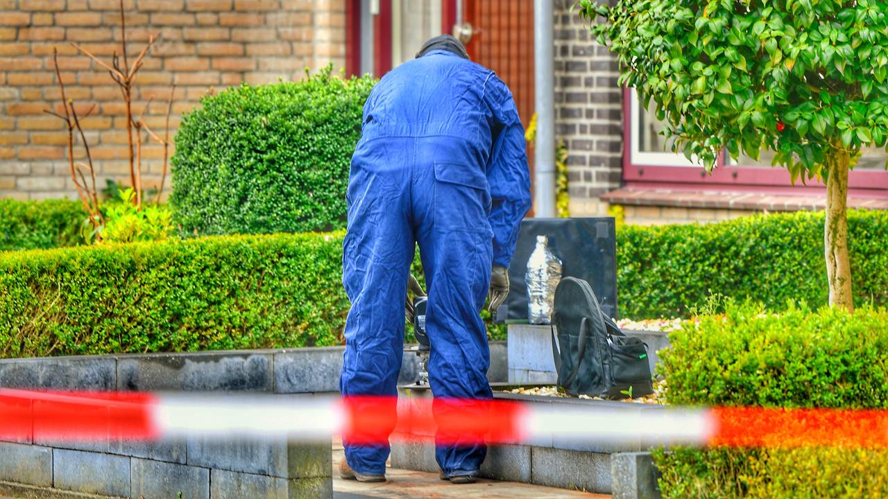 Foto: Rico Vogels / SQ Vision.