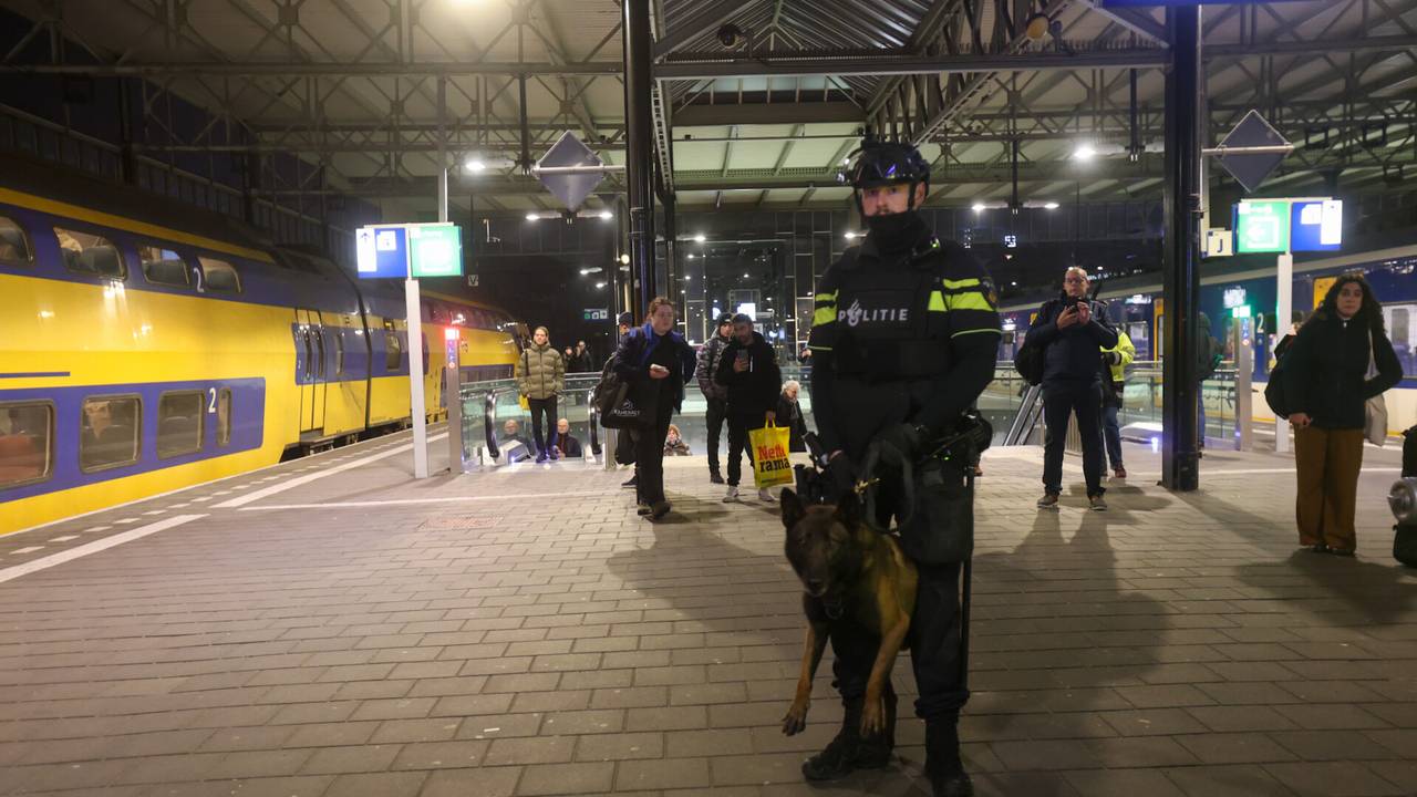 Trein doorzocht door politie voor een man met vuurwapen (foto: Arno van der Linden/SQ Vision).