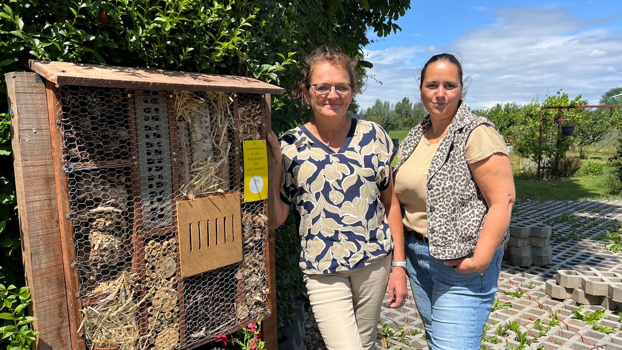 Astrid en Marjolein brengen Doeveren samen met insectenhotels (foto: Megan Hanegraaf).