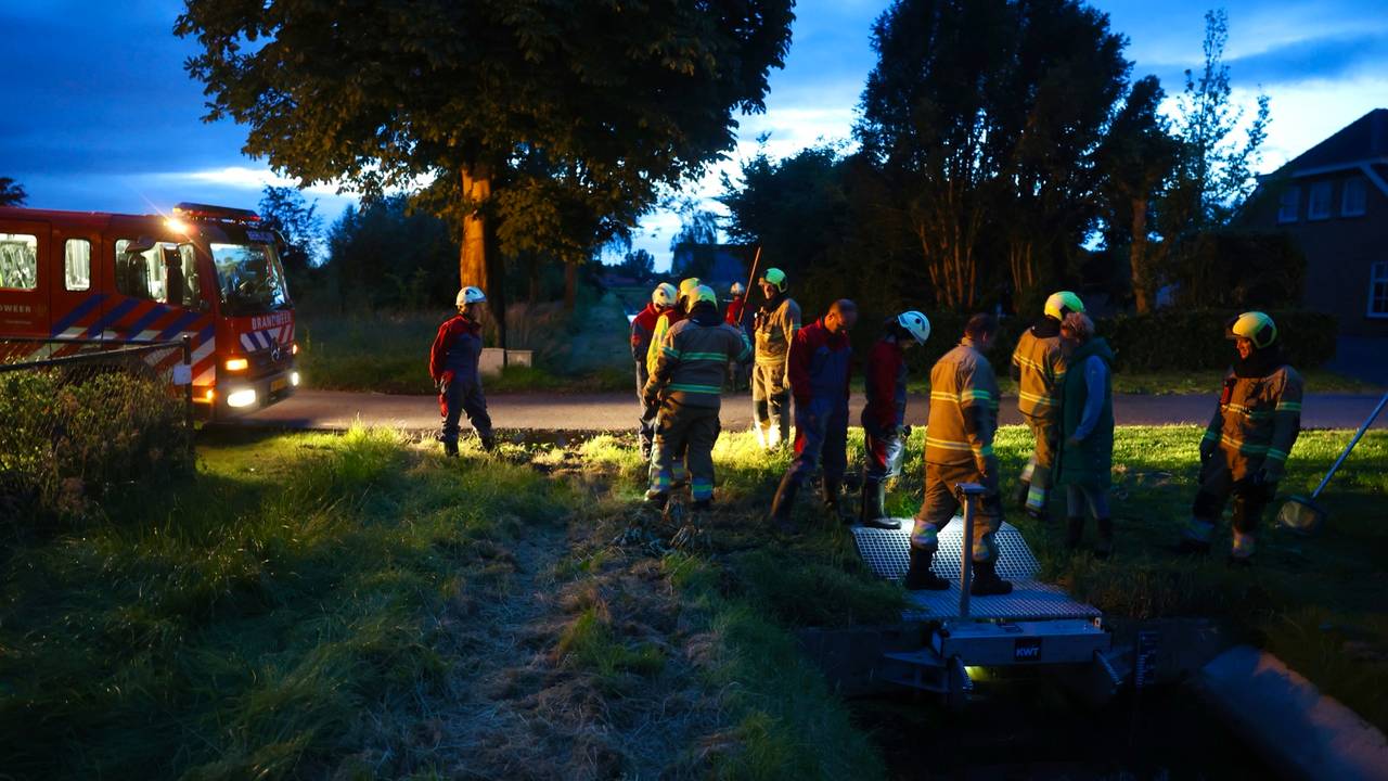 De eendenkuikens kwamen in de problemen bij een duiker aan het Laar in Berlicum (foto: Sander van Gils/SQ Vision).