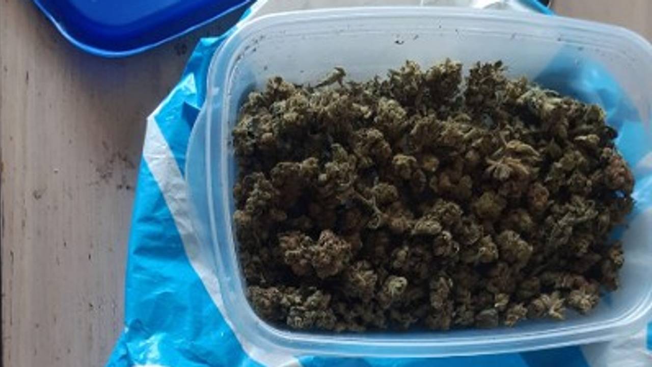 De gevonden henneptoppen (Foto: Politie)