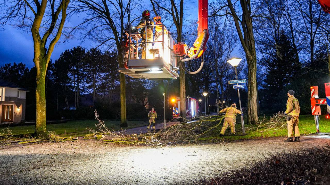 Foto: Harrie Grijseels/SQ Vision.
