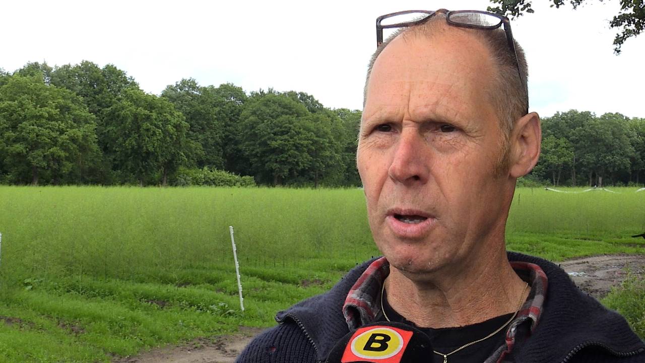 Aspergekweker Erik Verhoeven uit Cromvoirt: 'Het was een extreem en moeilijk seizoen'