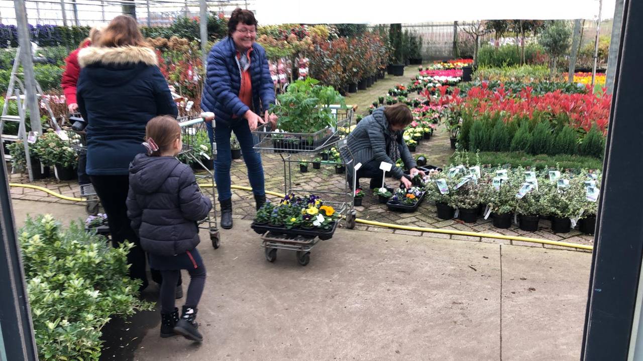 Plantenkweker geeft alles gratis weg