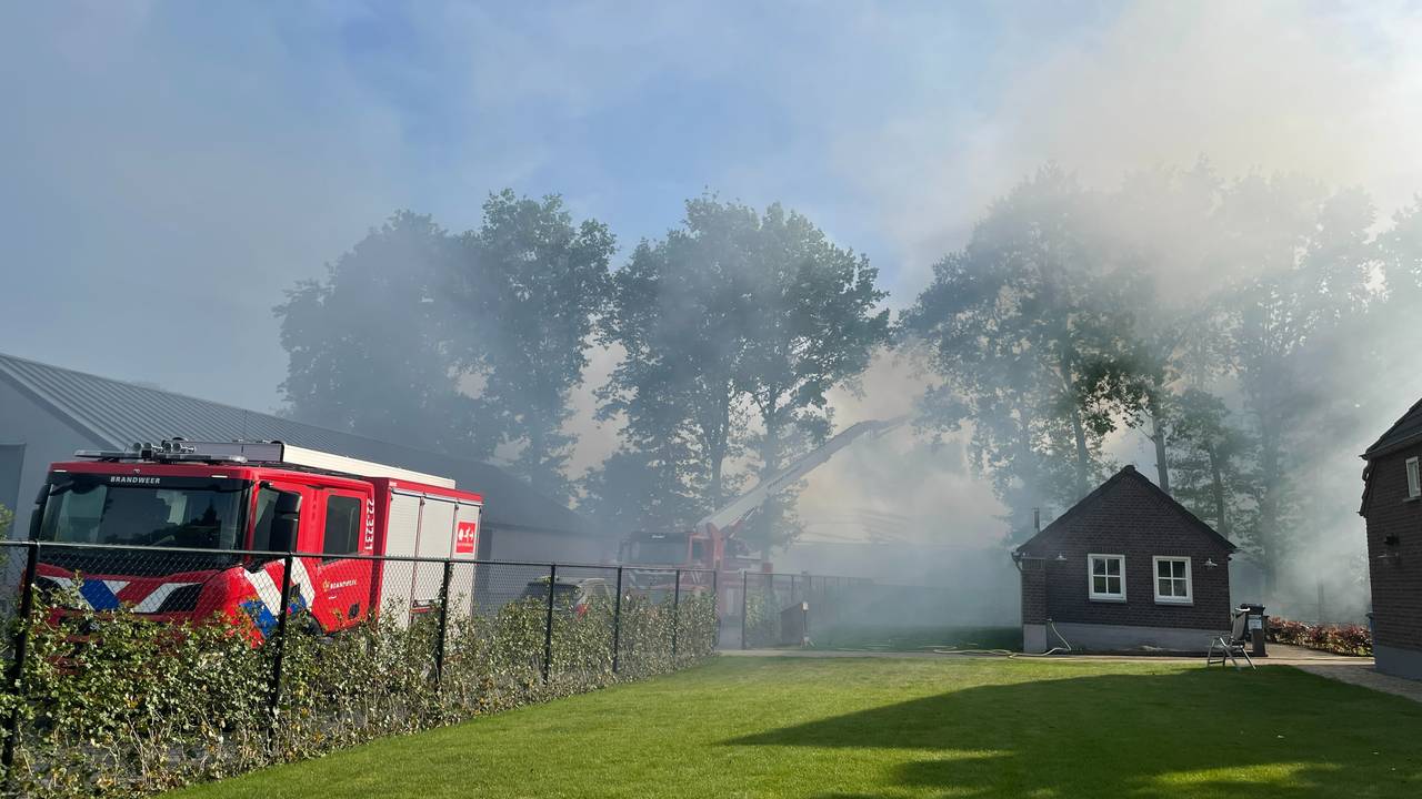 Foto: René van Hoof.