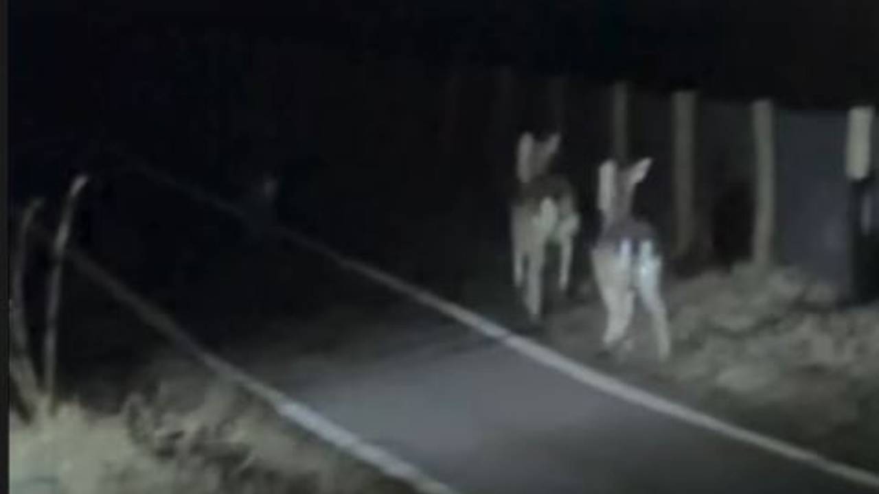 Foto: Instagram jeugdagenten Dommelstroom-Zuid