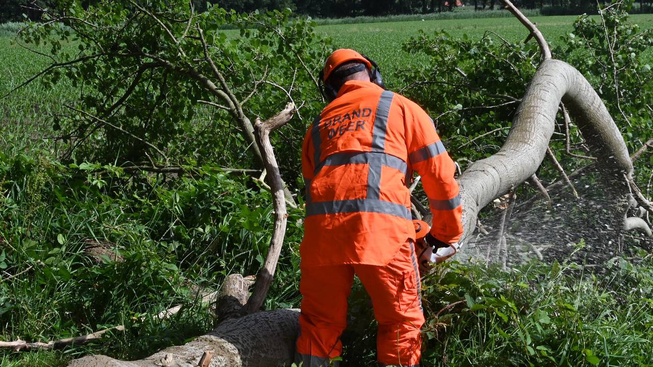 De boom versperde de Raamschoorseweg in Breda (foto: Perry Roovers/SQ Vision).