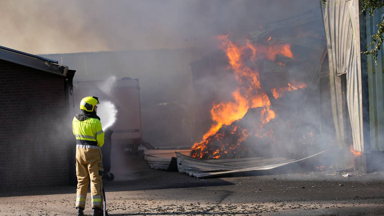 Foto: Gabor Heeres/SQ Vision