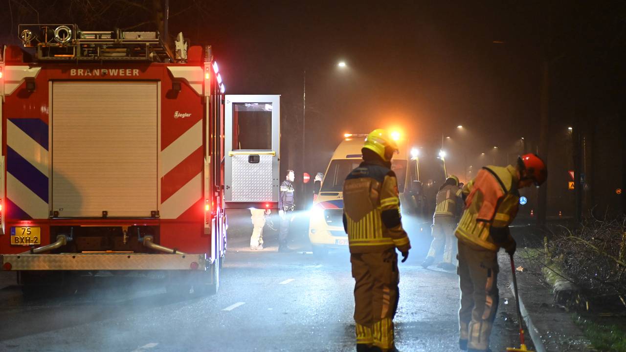 Foto: Perry Roovers/SQ Vision