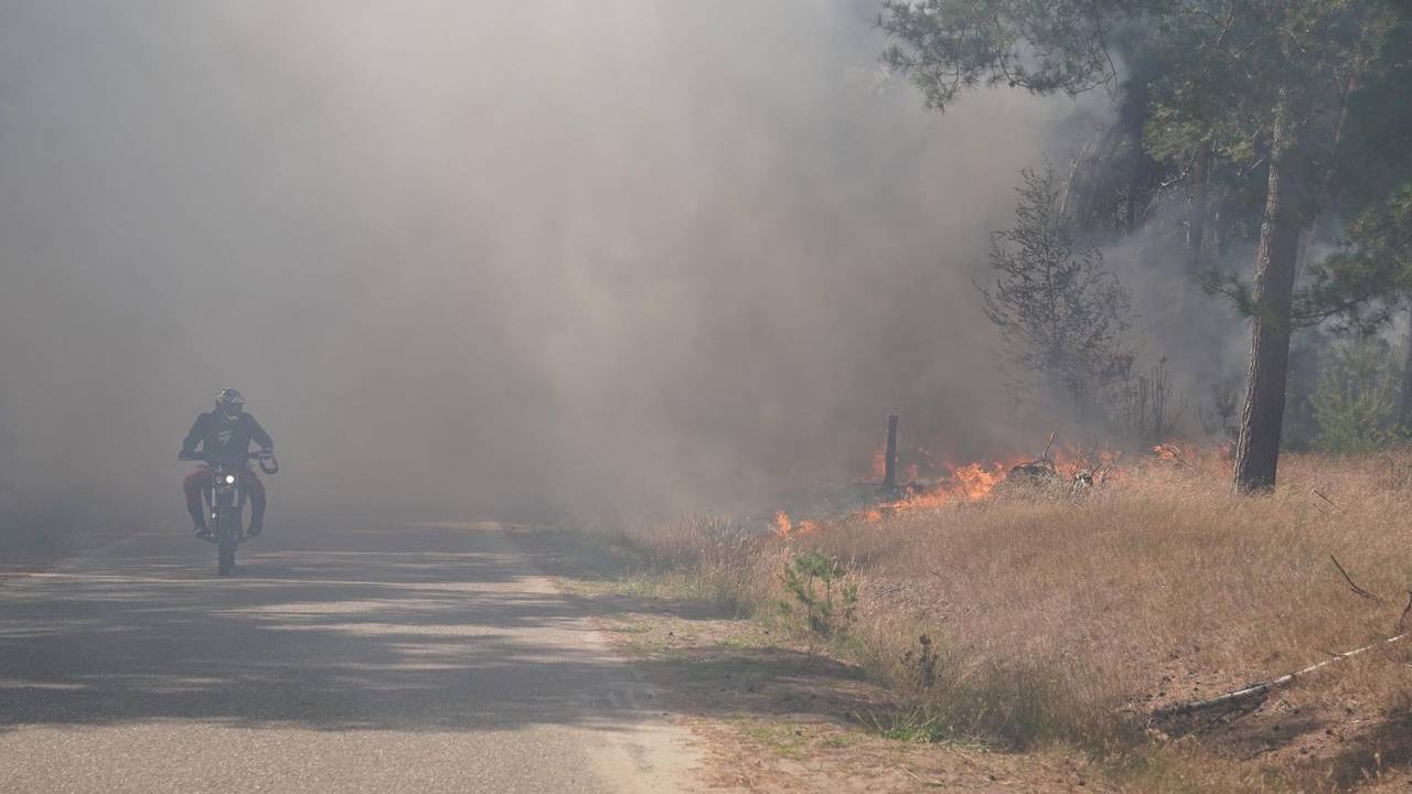 112 nouvelles: feu de forêt à Budel • une voiture entre en collision avec une voiture en stationnement