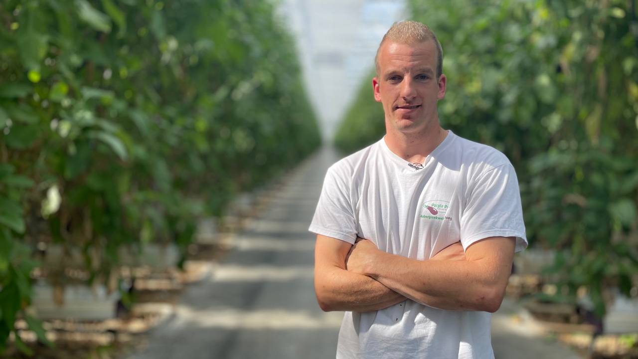 Tuinders de dupe van hoge energieprijzen: 'Tonnen duurder uit' - Vimarsana News