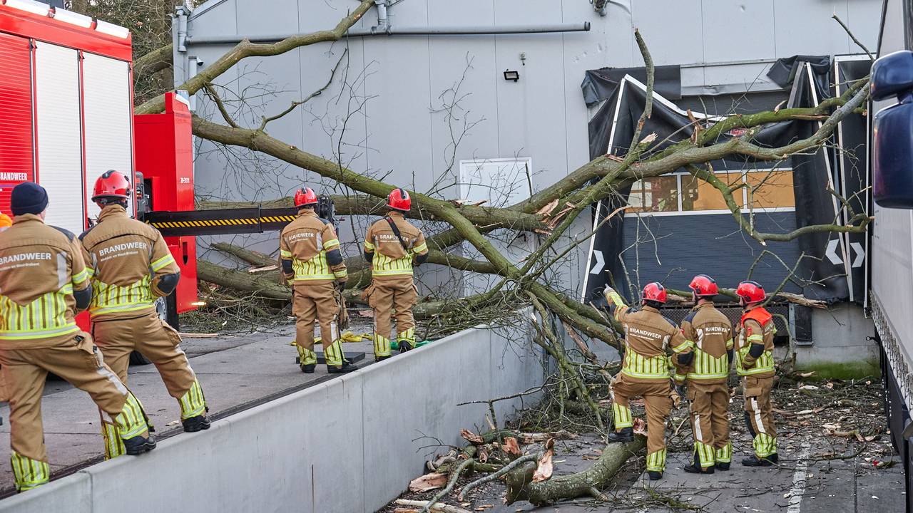 De brandweer verwijdert het afgebroken deel van de boom in Breda (foto: Tom van der Put/SQ Vision). 