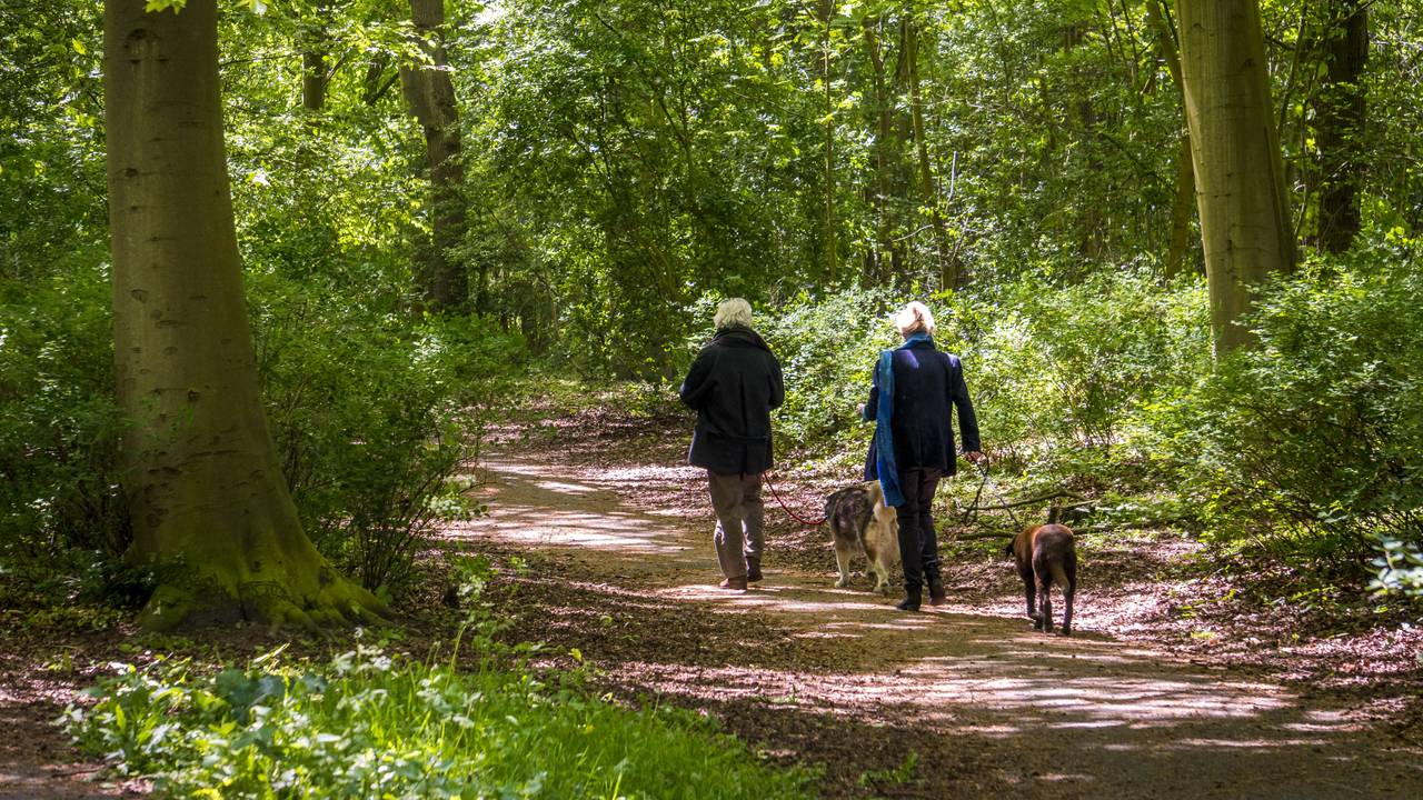 Het broedseizoen begint en honden moet aangelijnd worden (foto: ANP).