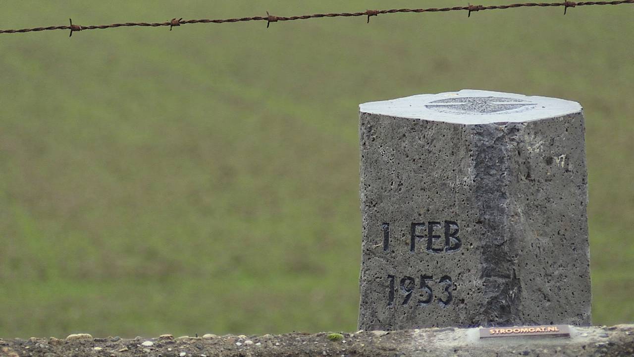 Stroomgatpaaltjes vertellen het verhaal van de Watersnoodramp van 1953 (foto: Omroep Brabant).