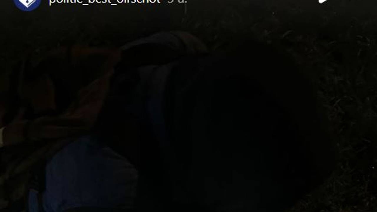 Foto: Instagram politie Best-Oirschot