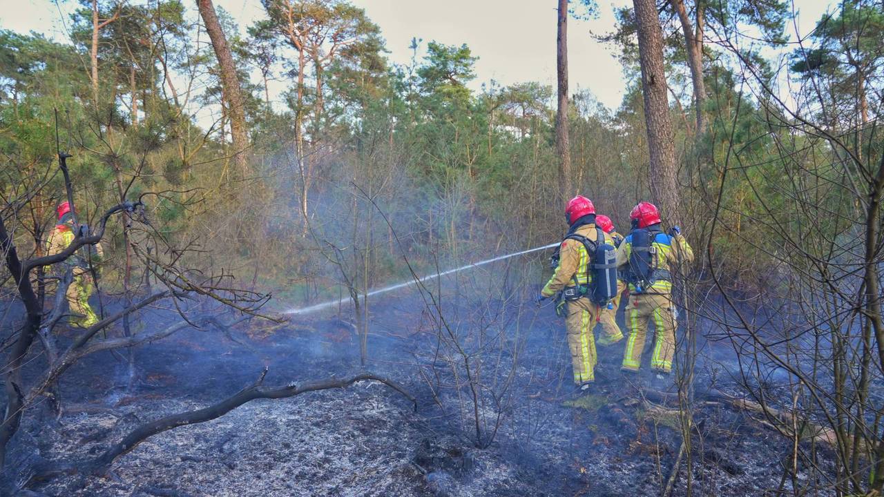 Foto: Rico Vogels/Persbureau Heitink