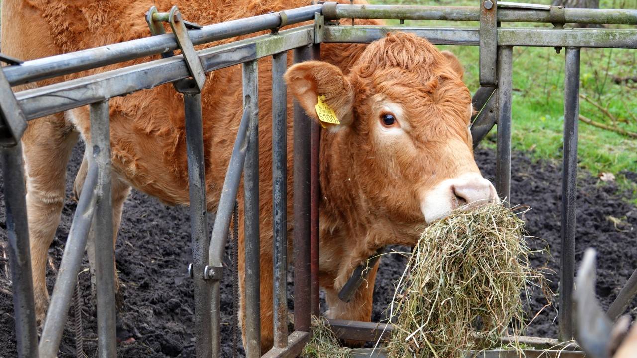 Foto ter illustratie (foto:Ben Saanen)