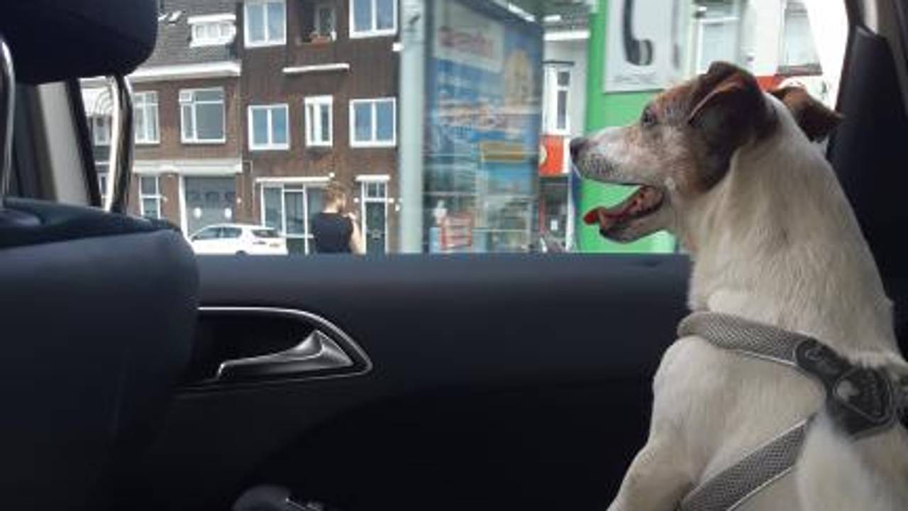 Ga naar slide 2