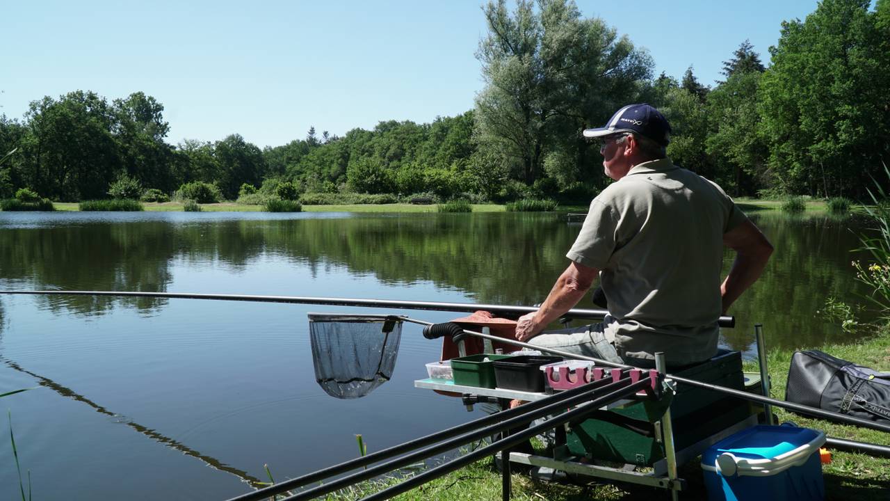 De visvijvers in Bergeijk dreigen helemaal droog te vallen.