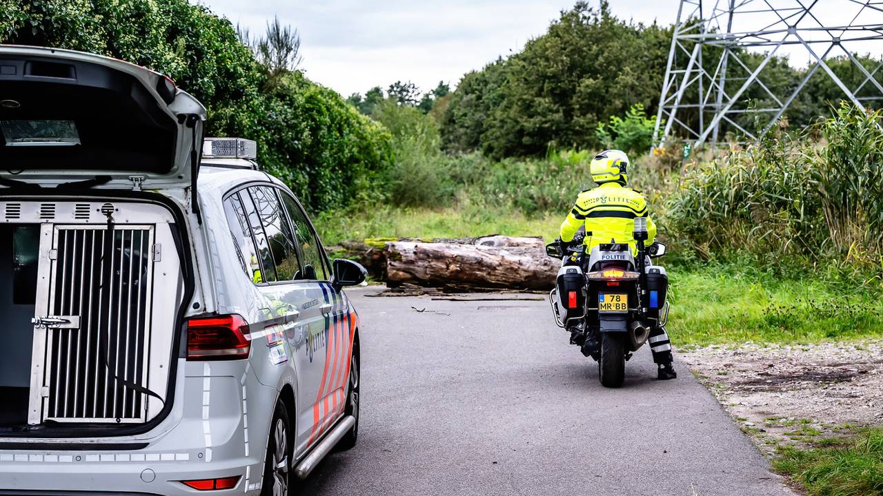 Foto: Jack Brekelmans / SQ Vision