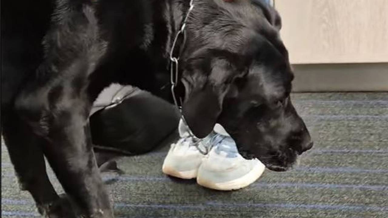 Foto: Instagram wijkagenten Tilburg-centrum.