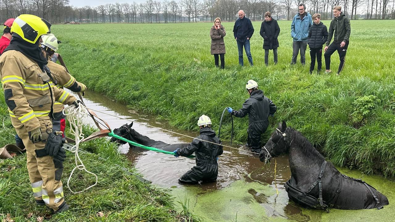 Foto: Bart Meesters / SQ Vision.