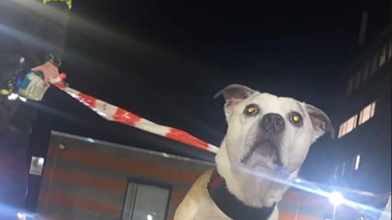 Foto: Instagram jeugdagenten Den Bosch-Rosmalen