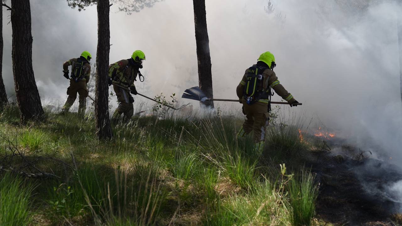 Het vuur woedt een bosgebied in Budel dat fungeert als militair oefenterrein (foto: WdG/SQ Vision).