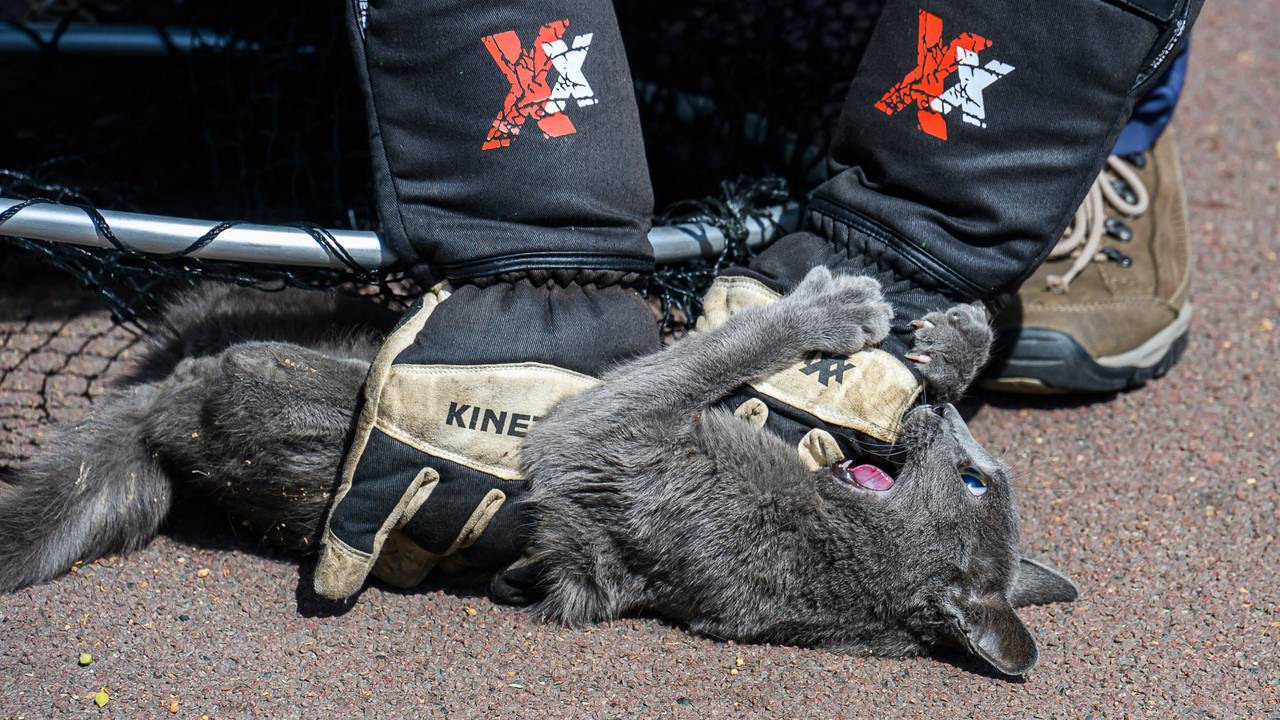 Foto: Tom van der Put/Persbureau Heitink