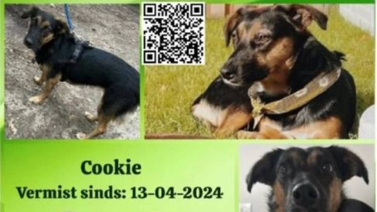 Foto: Instagram wijkagenten Beek en Donk