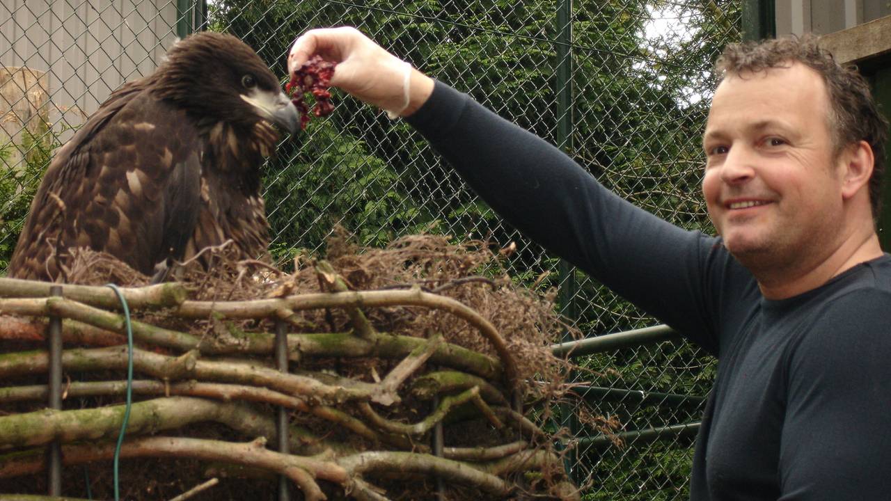 Richard met een jonge zeearend.