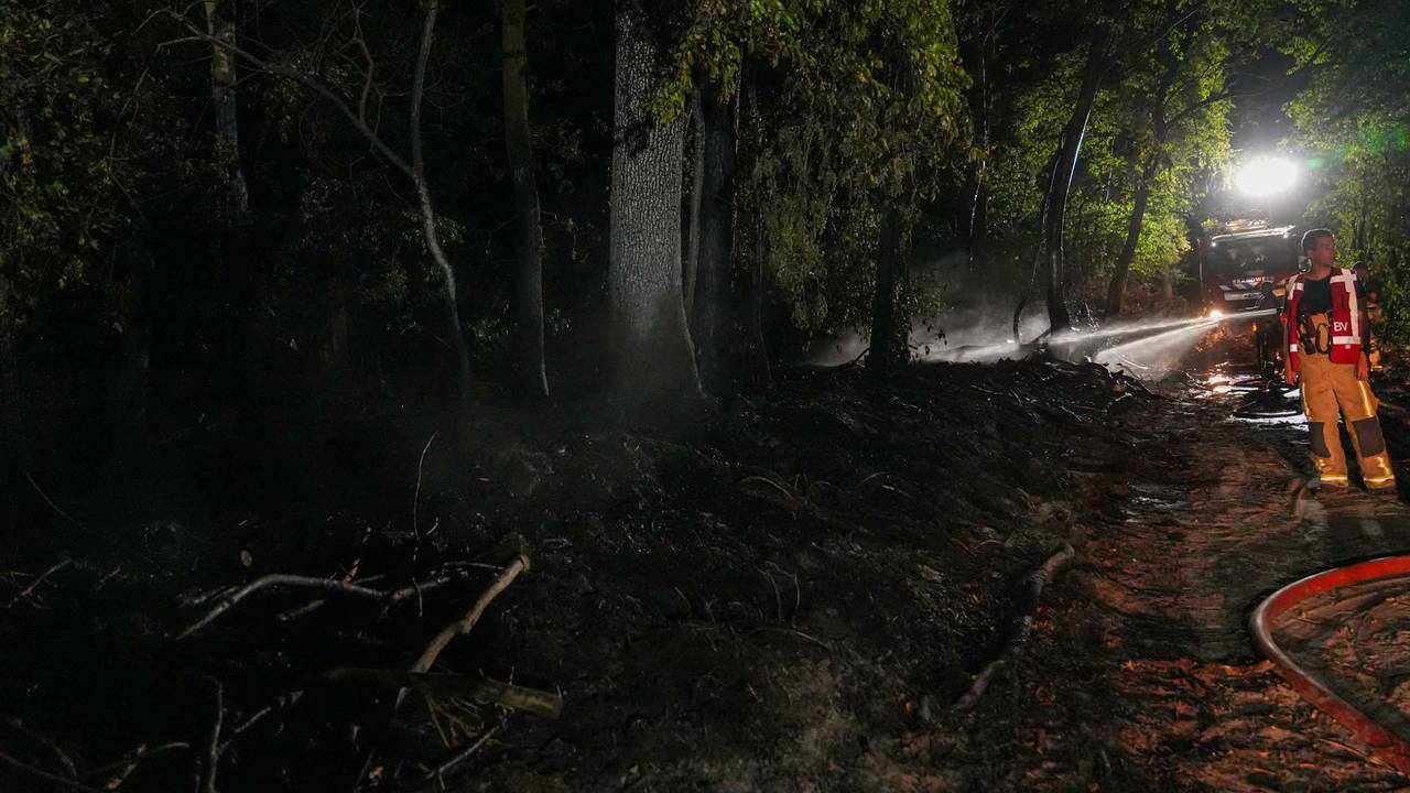 Foto: Harrie Grijseels/SQ Vision.