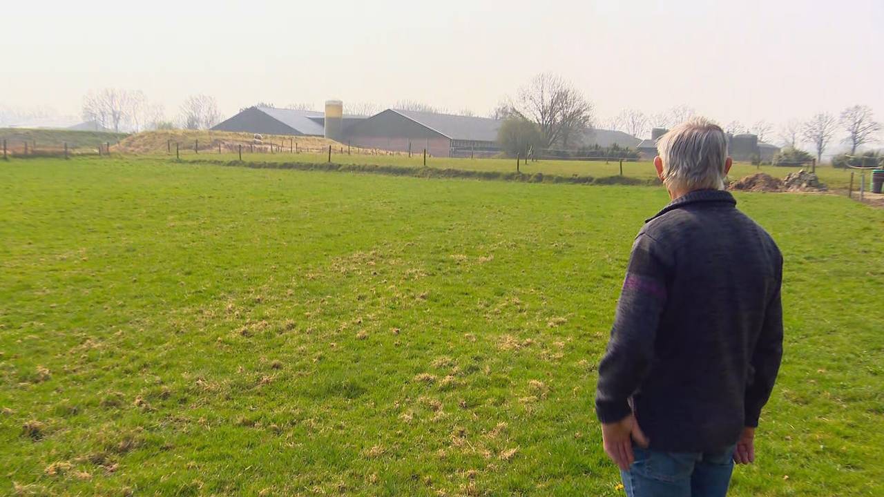 Wim kijkt naar de varkensstal die hem al 16 jaar teistert met stank (foto: Jan Waalen).