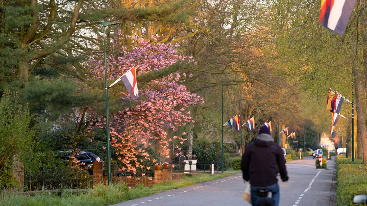 De vlaggen hangen uit in 's Gravenmoer (foto: ANP 2023/Iris van den Broek).