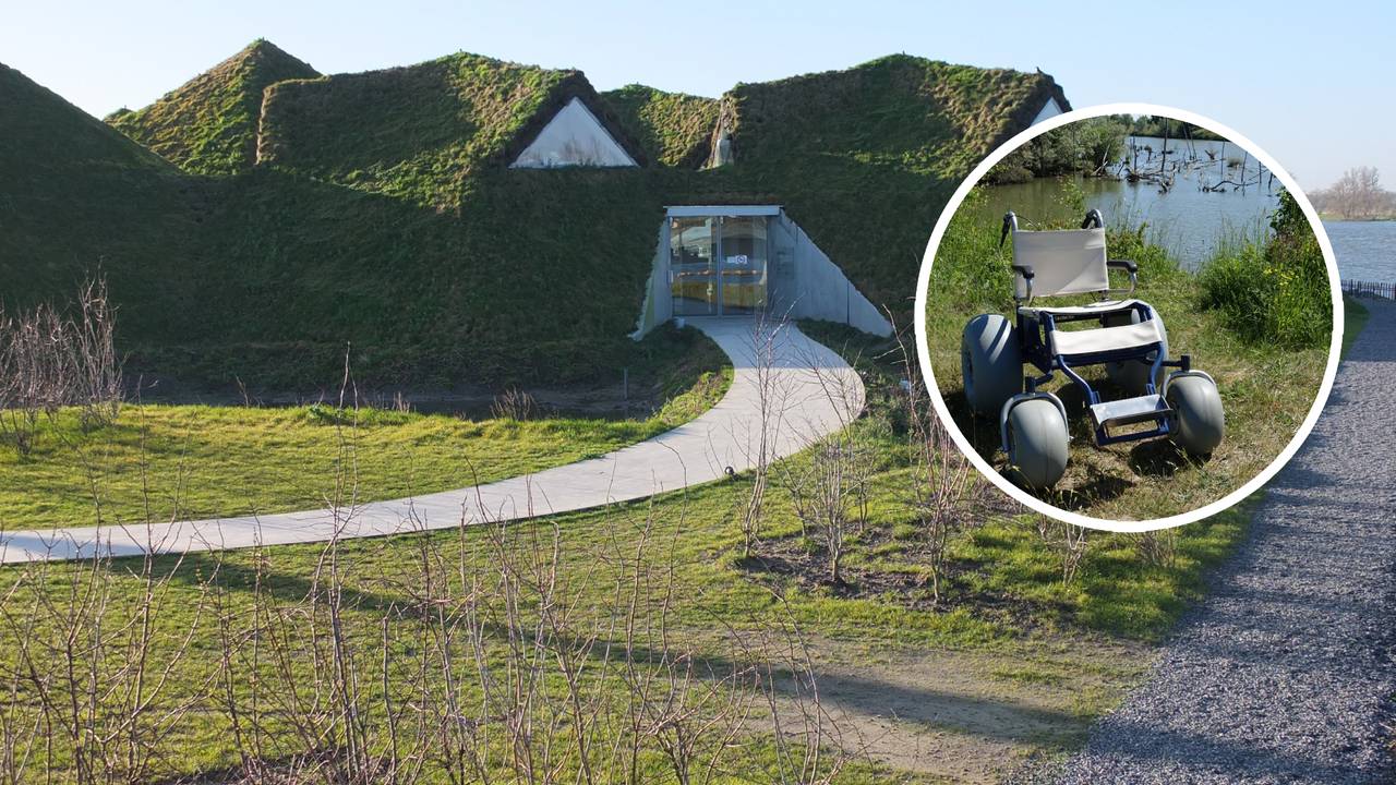 Met een zogenoemde 'offroad' rolstoel, wordt De Biesbosch een stuk toegankelijker voor mensen met een fysieke beperking (foto's: WikiMedia Commons en Biesbosch MuseumEiland)