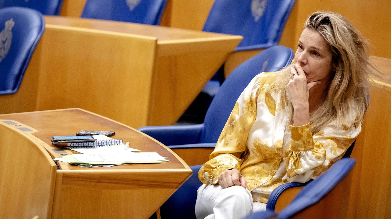 Lucille Werner in de Tweede Kamer (foto: ANP).