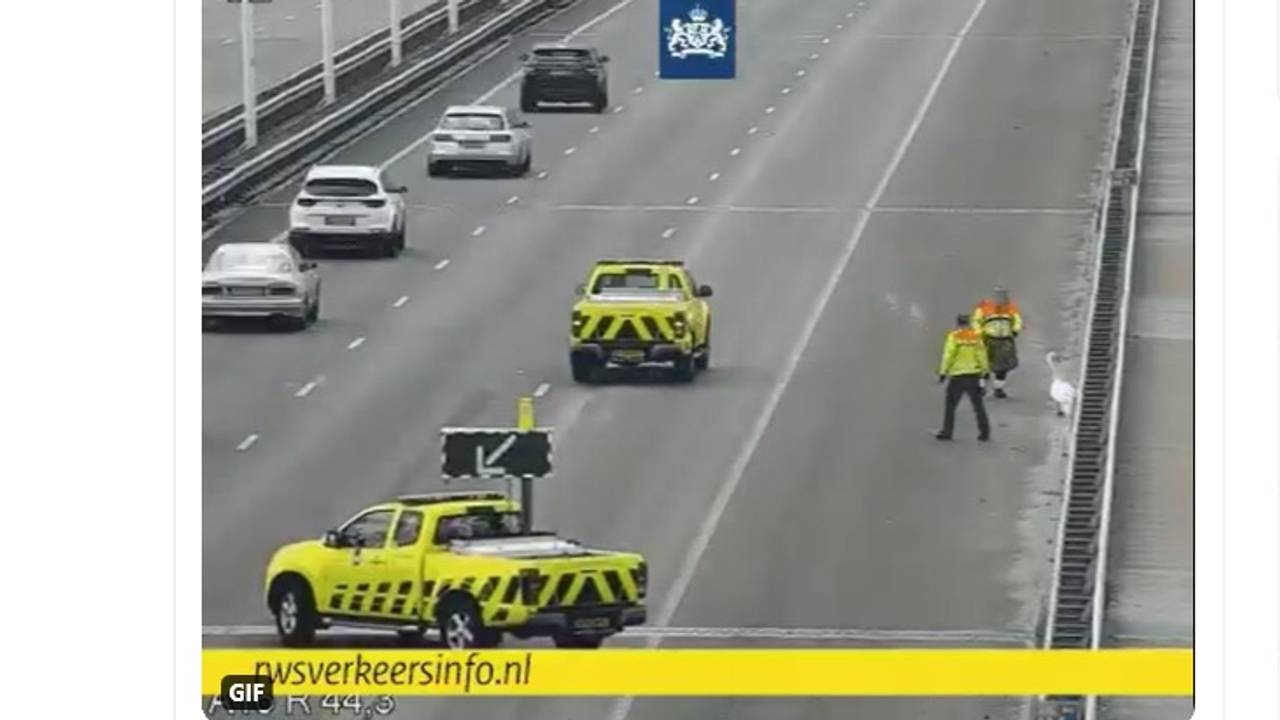 Beeld: Rijkswaterstaat.