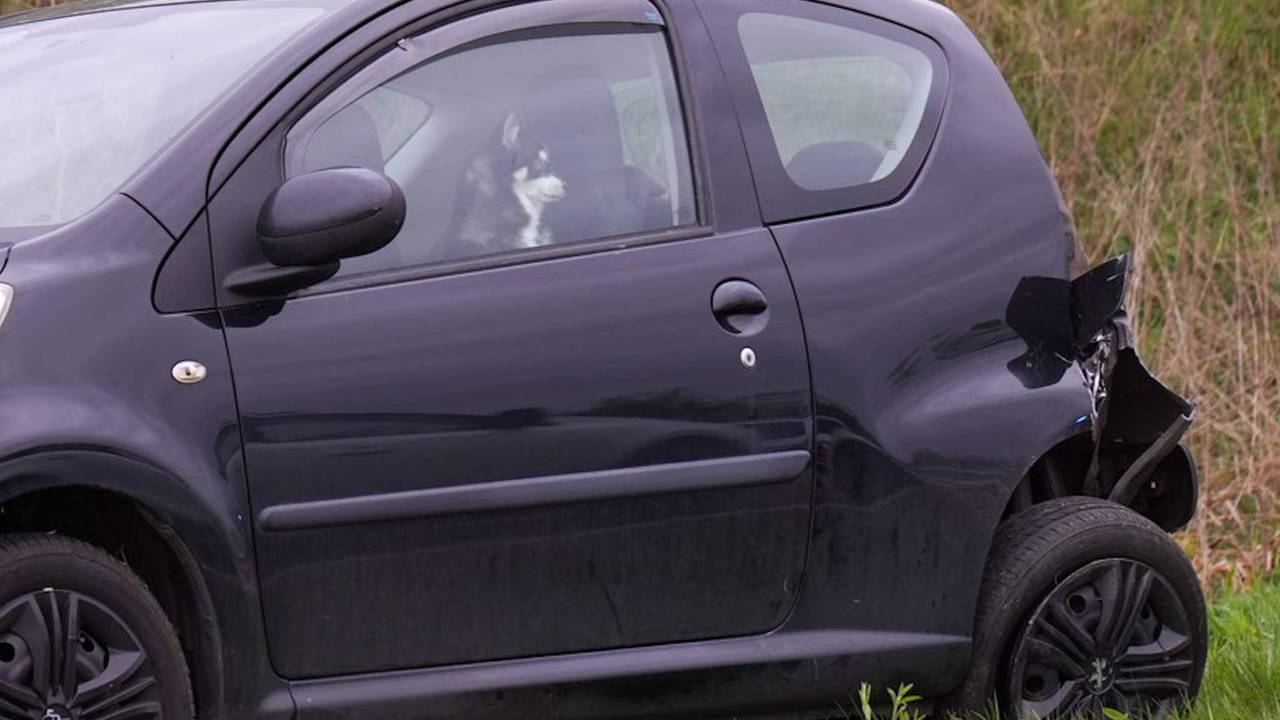Auto in sloot na ongeluk (foto: Harrie Grijseels/Persbureau Heitink).