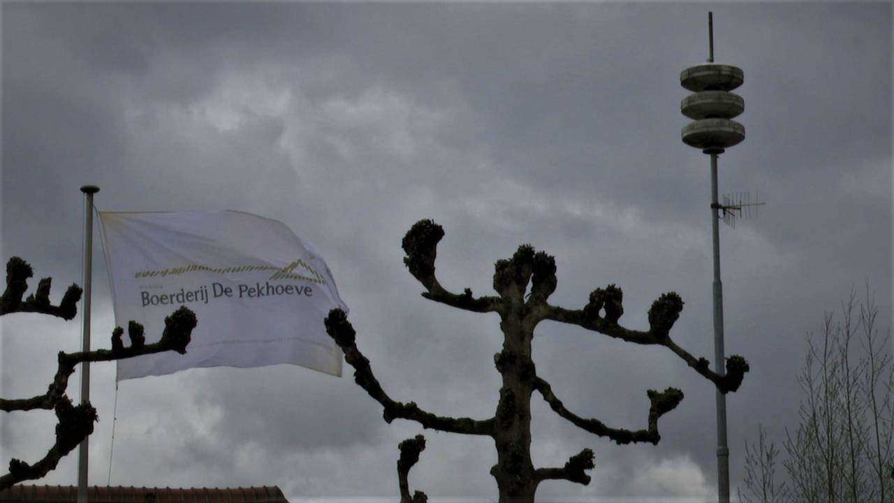 Ga naar slide 2