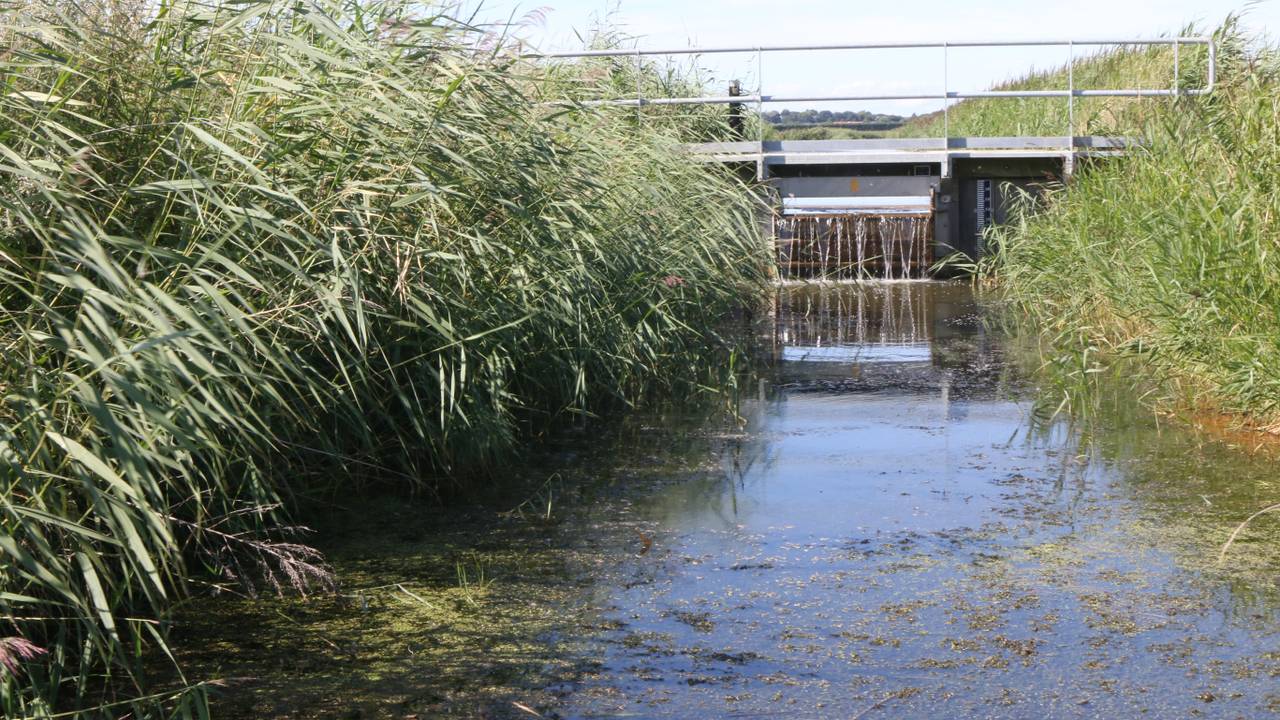 Met kleine stuwen wordt het waterpeil in de Noordpolder hooggehouden.