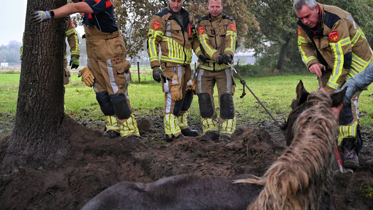 Foto: Toby de Kort/SQ Vision.