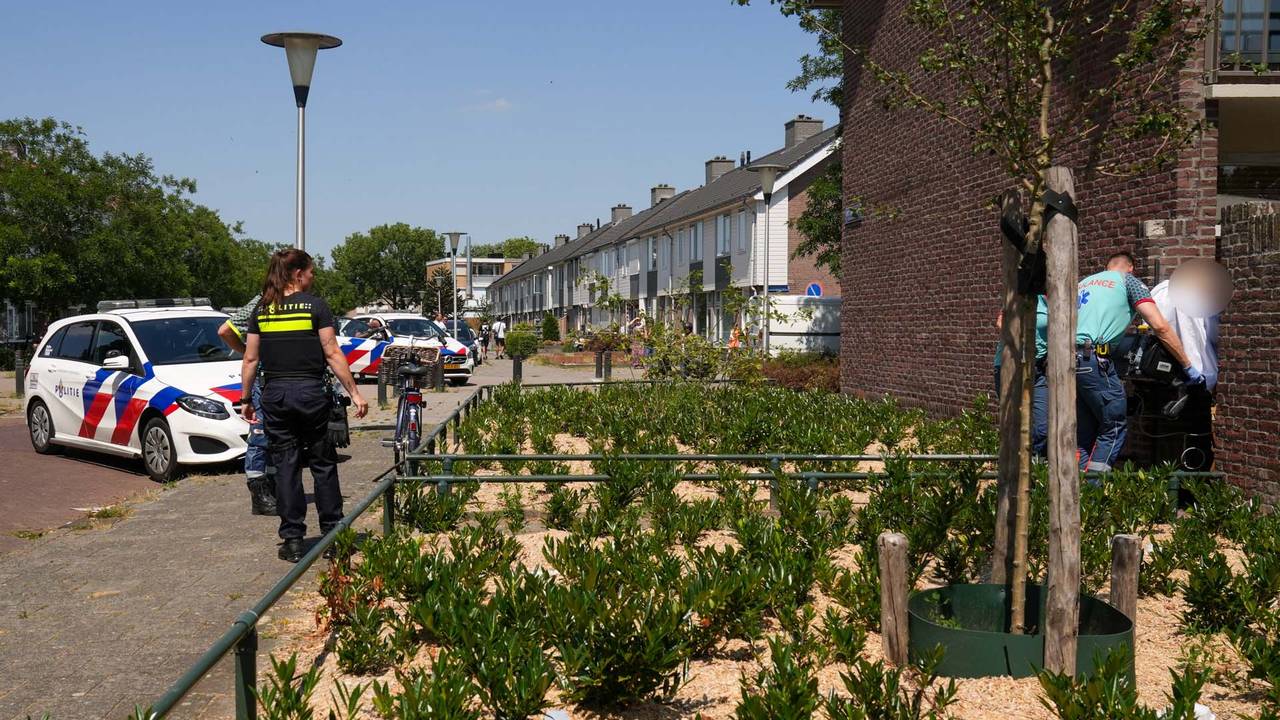 Foto: Harrie Grijseels