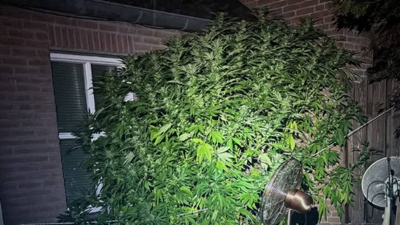 Foto: Politie Valkenswaard