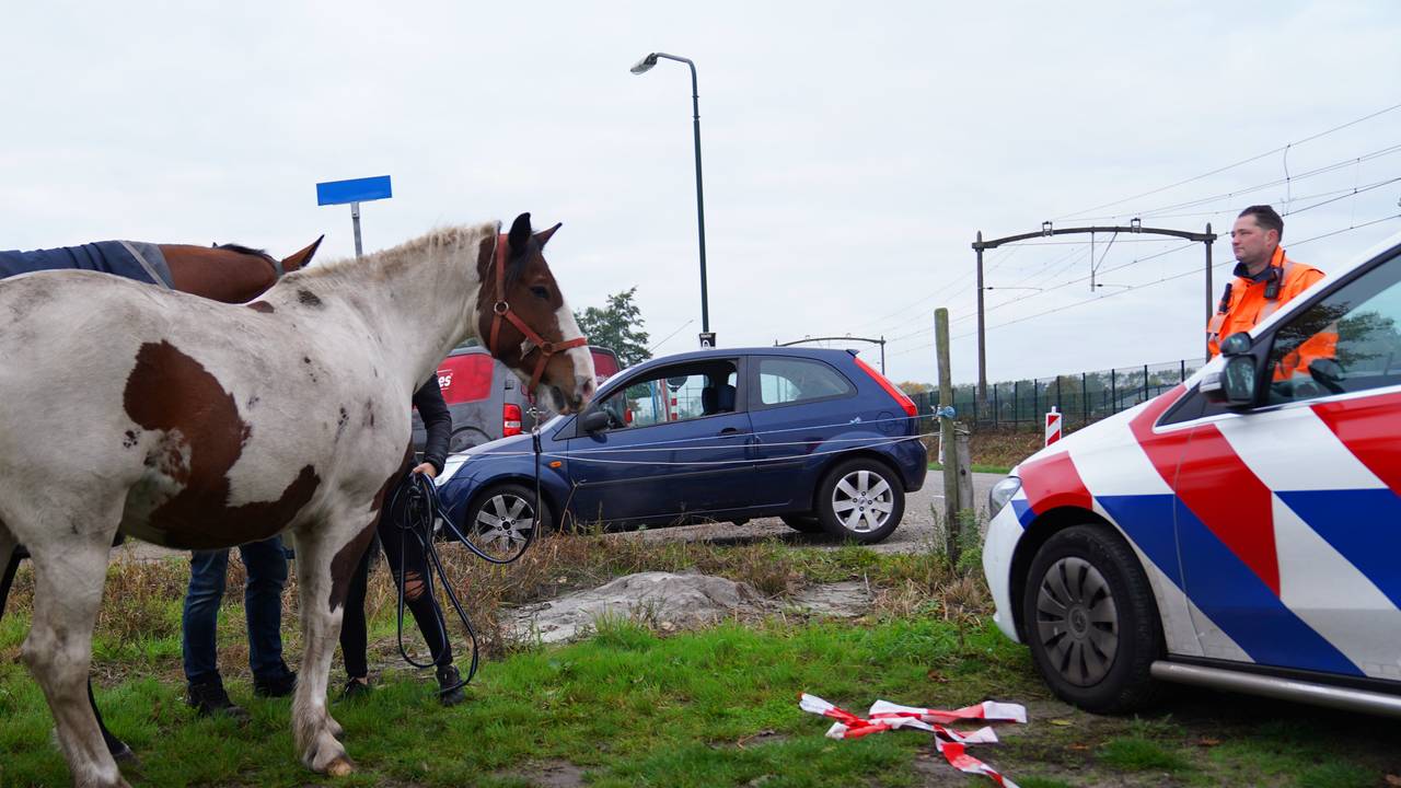 Foto: Bart Meesters/Persbureau Heitink.