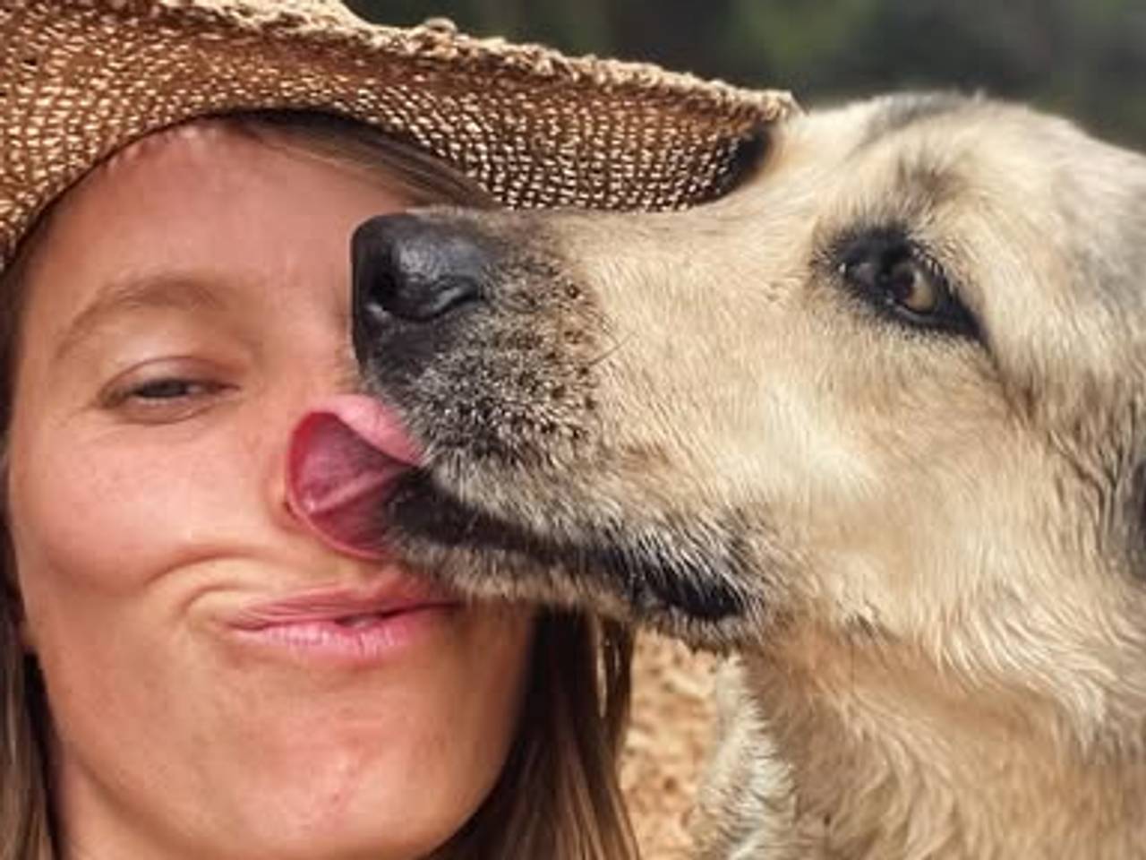 Foto: Stacy van Tichelt/Facebook.